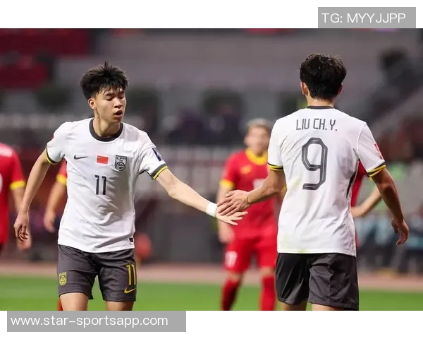 中国足球史上十大男足球星的风采与成就解析